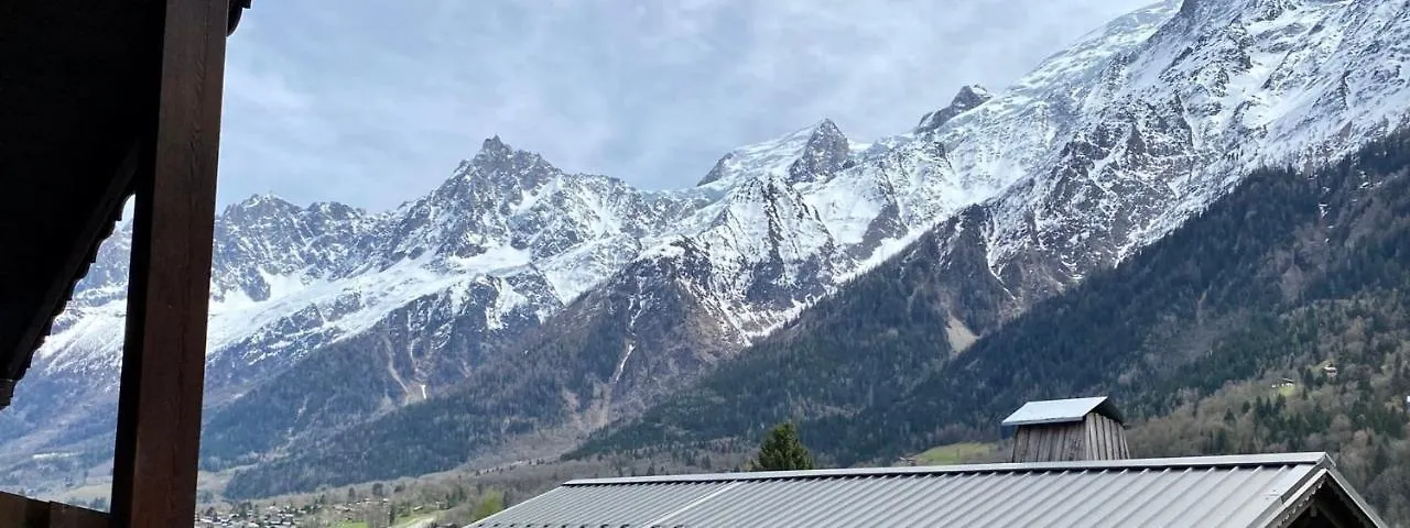 Bright Apt Facing The Mont Blanc Chain Les Houches Apartment
