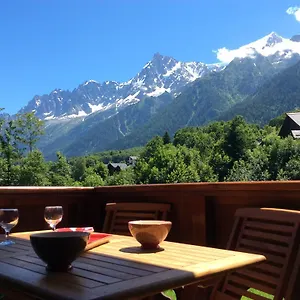 Facing The Chamonix Needles Appartement